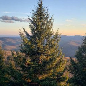 Meet your Posher, Jacqueline